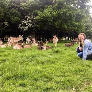 Meet your Posher, Caitlin